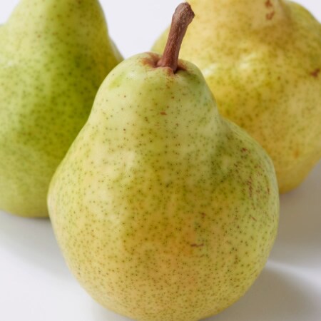 【10玉】果物屋さんが選んだ旬の洋梨を税込・送料込でお試し
