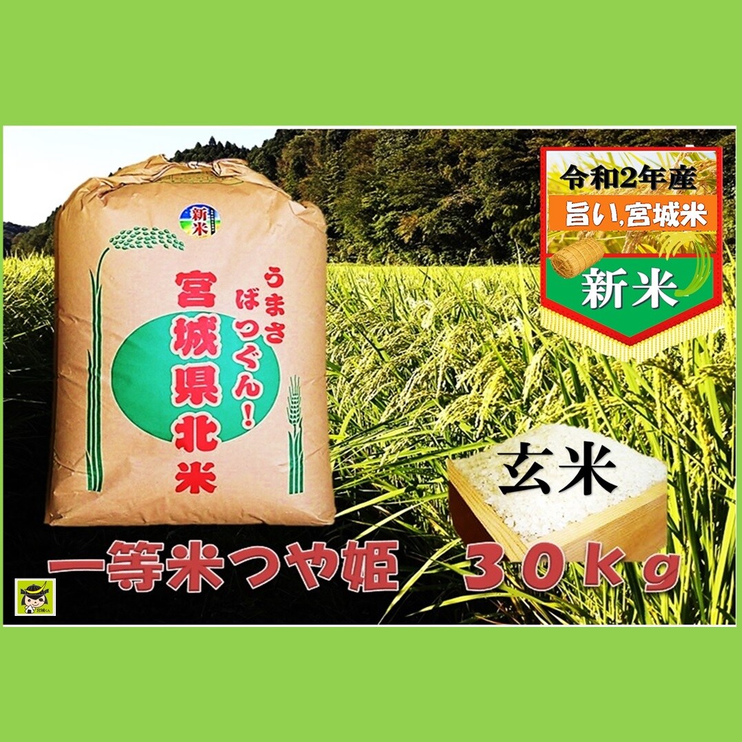 宮城県産 旨いつや姫玄米 30kg を税込 送料込でお試し サンプル百貨店 仙台漬魚株式会社