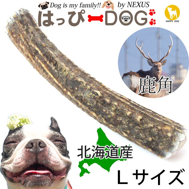 犬 おもちゃ 鹿の角 XLサイズ 北海道 鹿角 犬のおもちゃ 犬用 噛む ドッグガム デンタルケア デンタル効果 口臭対策 無添加 壊れない 送料無料  再再販