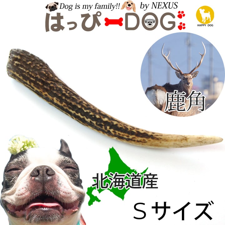 鹿角 Llサイズ おもちゃ 犬用 ペット ペットグッズ 長持ち おまけ付き北海道 1本 犬のおやつ 犬用品 蝦夷鹿 鹿の角 犬