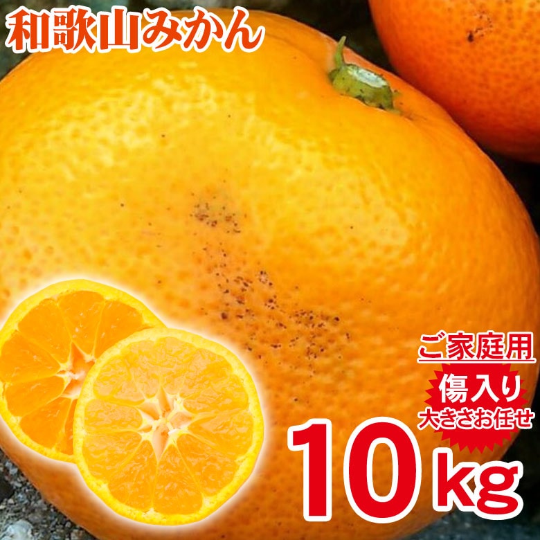 約10kg(サイズお任せ)】和歌山みかん(ご家庭用、傷あり)を税込・送料込