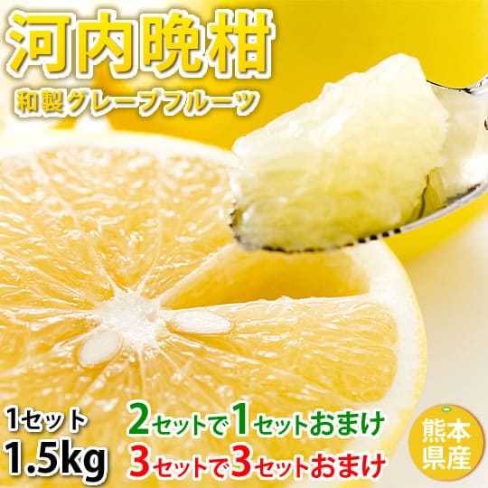 予約受付 4 5 順次配送 約1 5kg 熊本県産 河内晩柑 傷あり 不揃い ご自宅用 和製グレープフルーツ みしょうかん 2セットで1セット 3セットで3セットおまけ