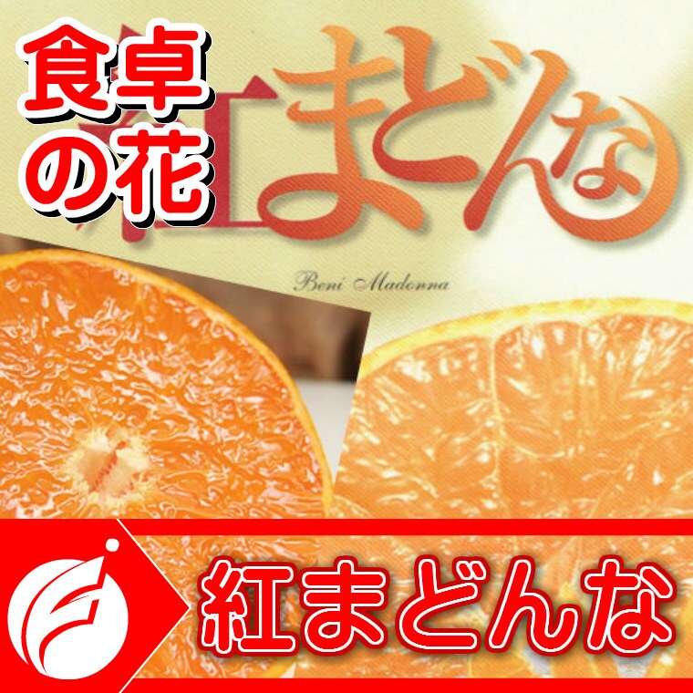 予約受付】12/6~順次出荷【家庭用サイズお任せ/3kg】紅まどんな （愛媛