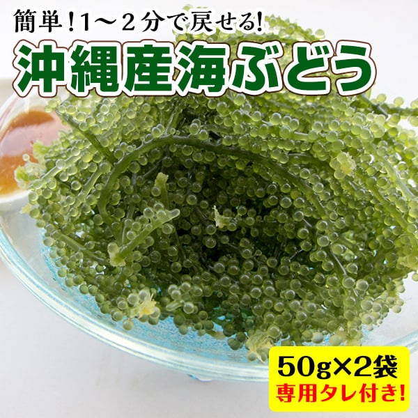 50g×2袋】海ぶどう+シークヮーサー風味タレ※ノンパッケージ(ご家庭用)を税込・送料込でお試し ｜ サンプル百貨店 | 九州からの贈り物