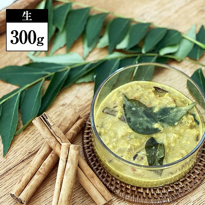 カレーリーフ　沖縄産　fresh Curry Leaves 500gr