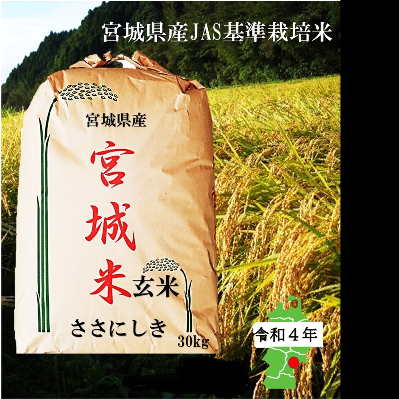 生産者直送 宮城県産2022年産 宮城のささにしき玄米30kgを税込・送料込でお試し ｜ サンプル百貨店 | 仙台漬魚株式会社