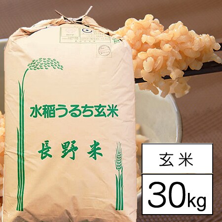 令和4年産【30kg/玄米】特別栽培米 長野県南信州産 コシヒカリ 1等