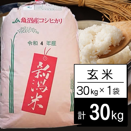 令和4年産【30kg/玄米】新潟県魚沼産コシヒカリ JA十日町 1等 玄米