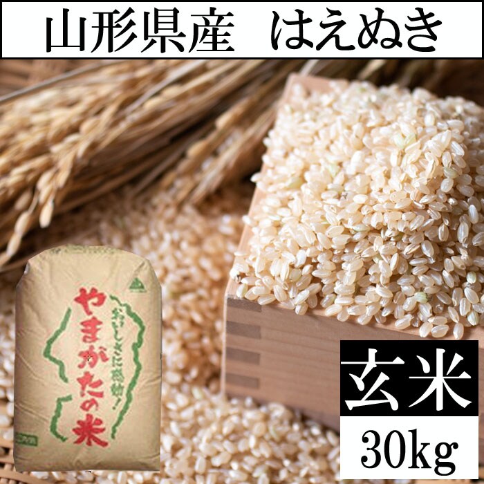 山形県産【はえぬき】中米 玄米３０ｋｇ 29年産 - 米/穀物