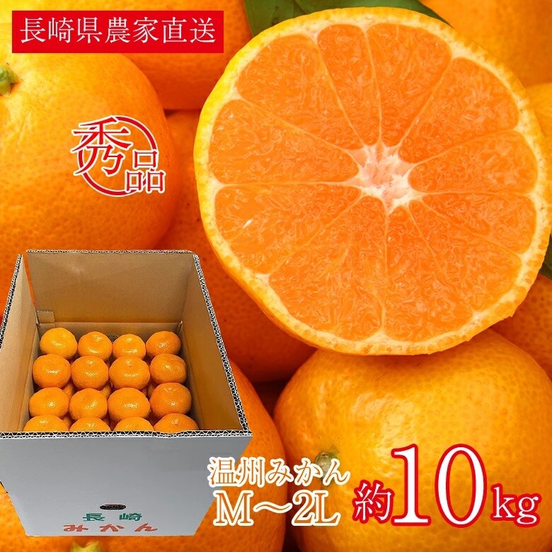 予約受付】12/5~順次出荷【約10kg前後】長崎温州みかん(秀品)を税込