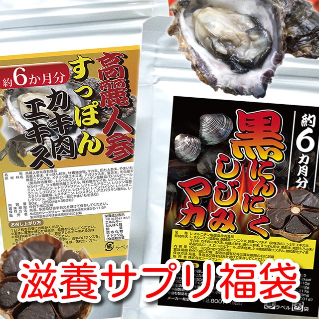 新品 OYSTER ENERGY 海の恵み 牡蠣の力 牡蠣肉エキス 120錠-