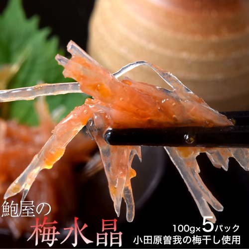 計500g 100g×5袋】鮑屋の梅水晶 小田原を税込・送料込でお試し