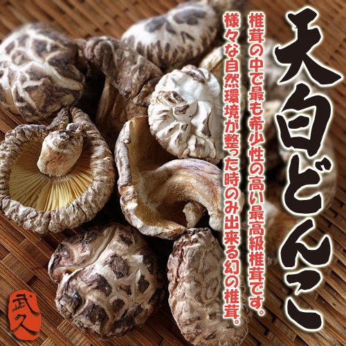 天白どんこ椎茸 高級 原木椎茸 九州産（花どんこしいたけ）【50g ×2袋