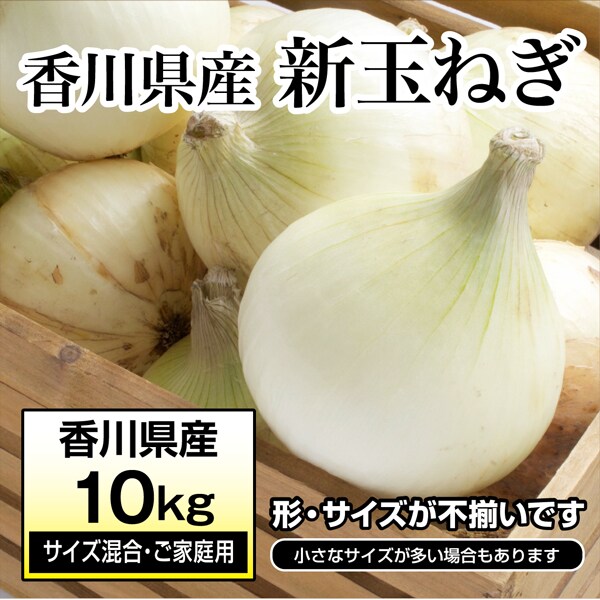 約10kg(サイズ混合・ご家庭用)】新たまねぎ 香川県産 旬の採れたて新