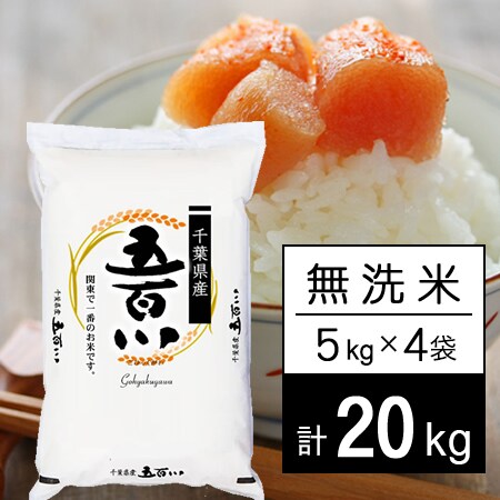 古米 お米20kg 令和4年魚沼産コシヒカリ玄米-