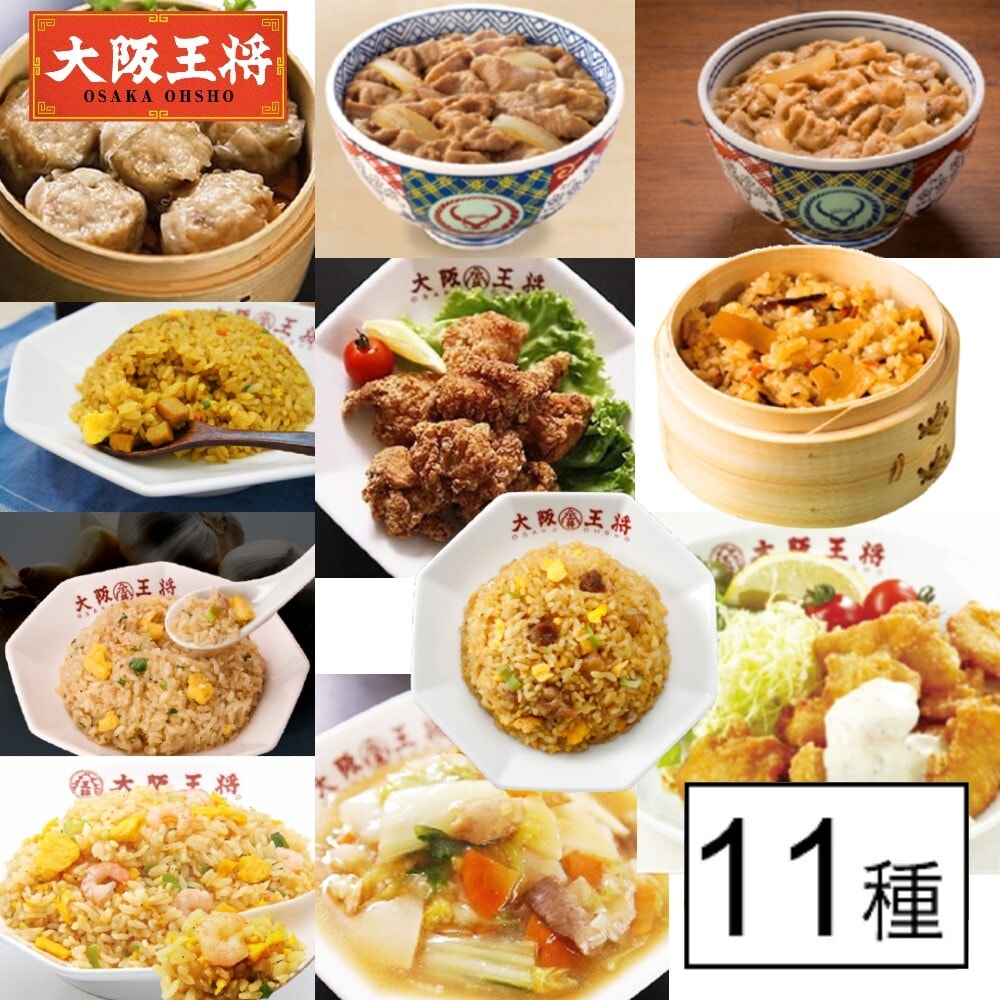 【11種/計15袋】大阪王将 レンチンで簡単調理！炒飯・おかず・丼