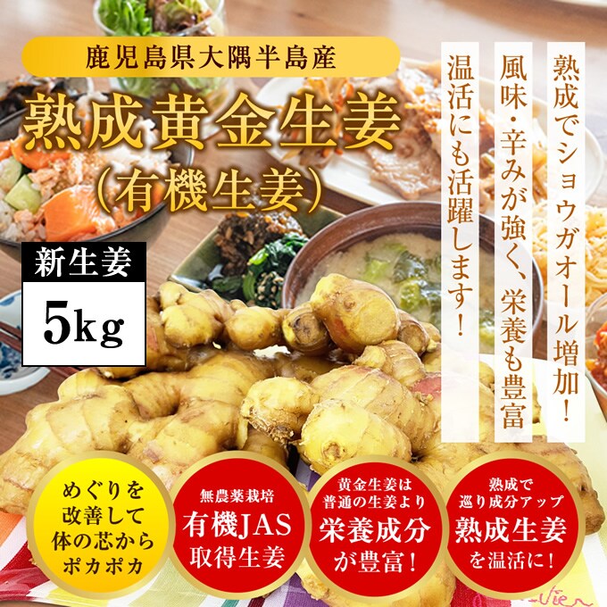 新生姜 5kg】無農薬・有機JAS認証 黄金生姜（生）を税込・送料込でお