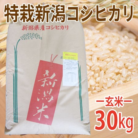 30kg (30kg×1袋)】令和5年産 新米 玄米 特別栽培米新潟県阿賀野産