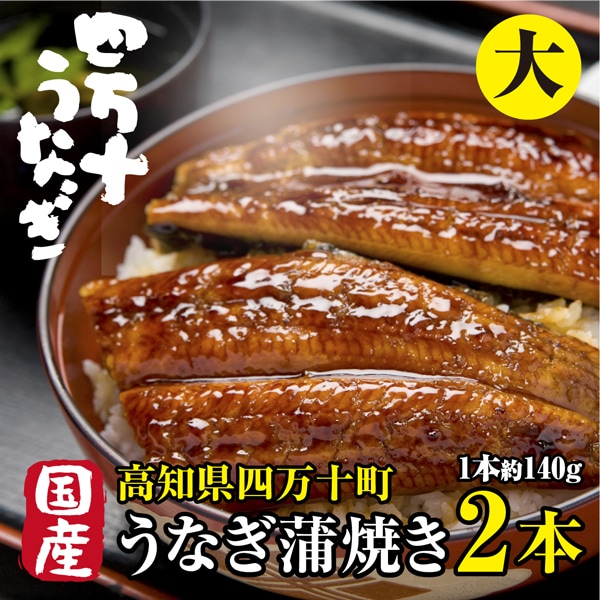 2本(約140g×2本)】高知県産 高級うなぎ蒲焼(大) 贅沢な絶品うなぎを