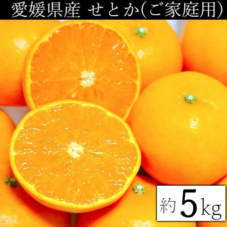 約5kg】愛媛県産 せとか(良品)を税込・送料込でお試し｜サンプル百貨店