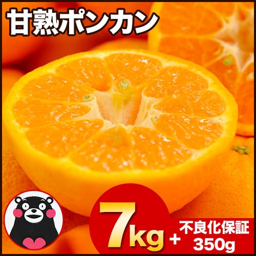 今年も解禁！】 ポンカン ご家庭用 【7kg +不良化保証350g】 熊本県産