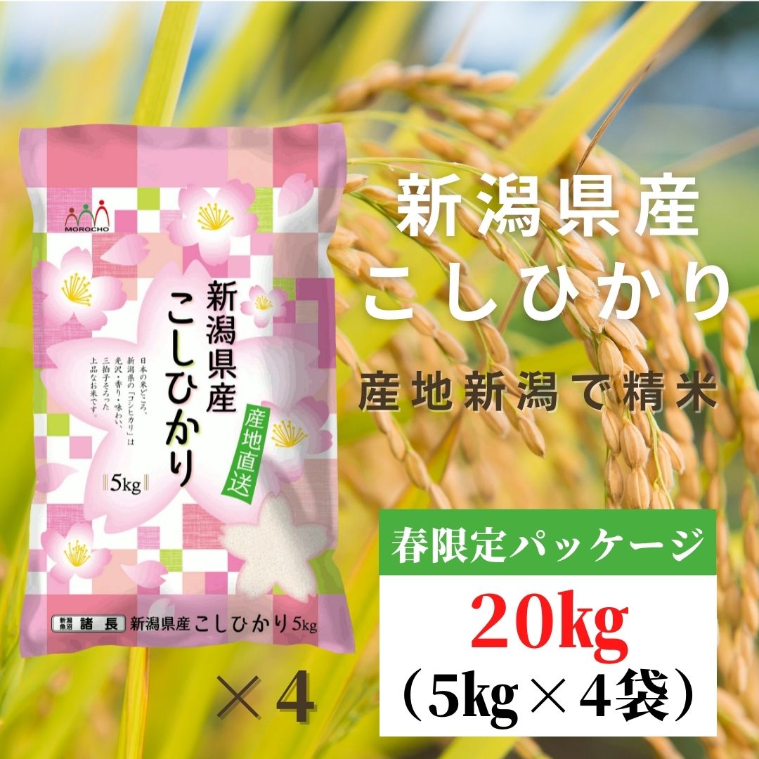 20kg】新潟県産 コシヒカリ 令和5年産を税込・送料込でお試し