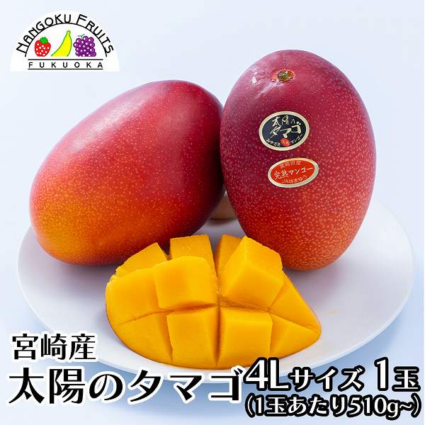 宮崎県産完熟マンゴー Lサイズ4玉1.2kg以上 国内発送 - 果物