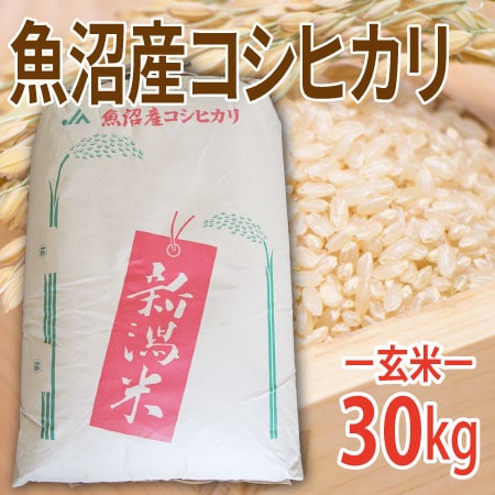 【30kg (30kg×1袋)】令和6年産 新米 【玄米】魚沼十日町産コシヒカリを税込・送料込でお試し｜サンプル百貨店 | 有限会社森米穀店