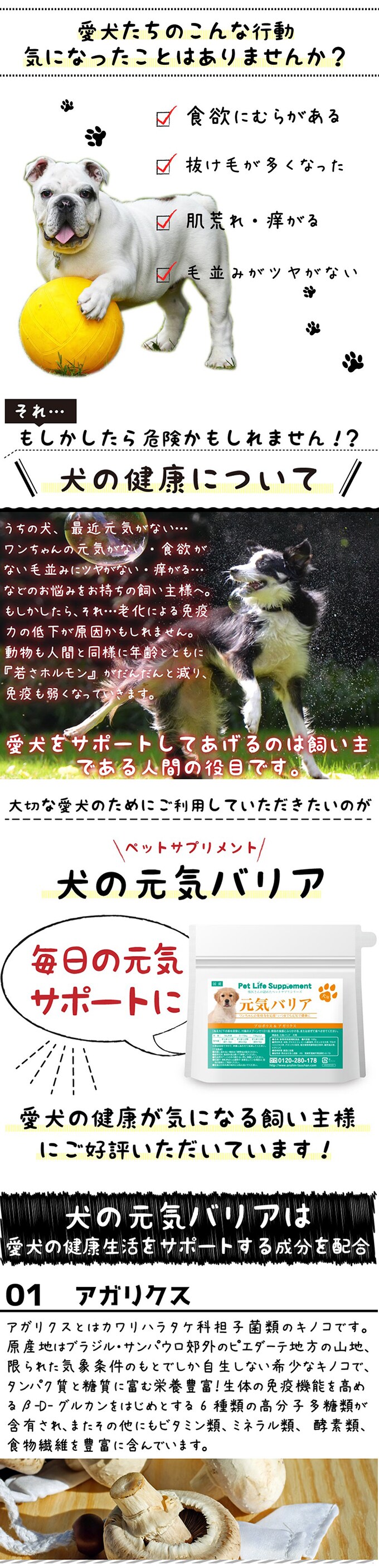 犬の元気バリア 100gを税込 送料込でお試し サンプル百貨店 株式会社dual Life