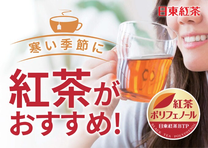 日東紅茶 カフェインレスTBピーチ＆アップル20袋入り 40g×12個を税込