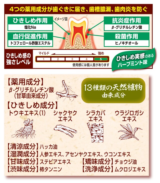 薬用生葉EX 薬用ハミガキ 試供品2個セット