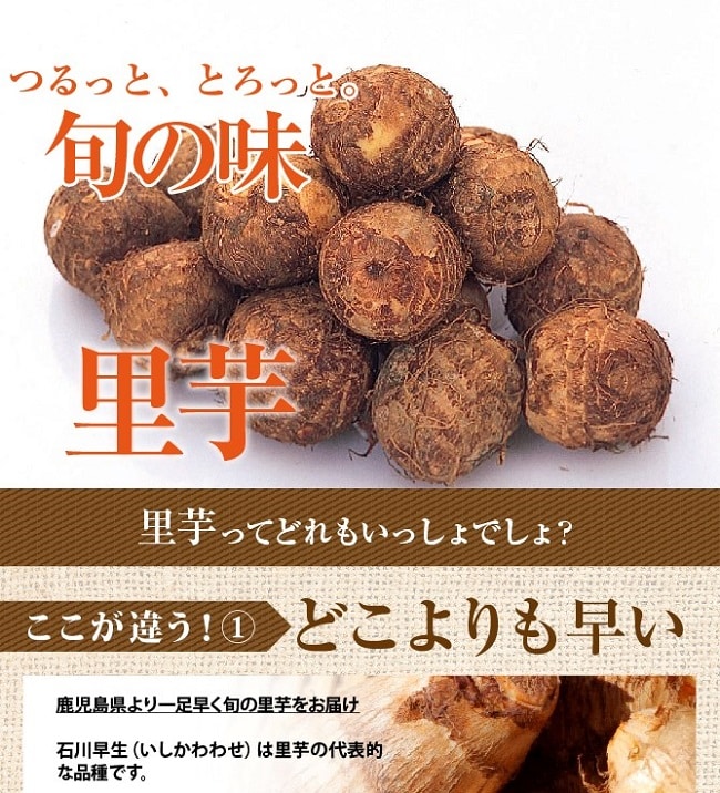 1kg】鹿児島大隅半島産 里芋「石川早生」を税込・送料込でお試し｜サンプル百貨店 | 九州よかど市