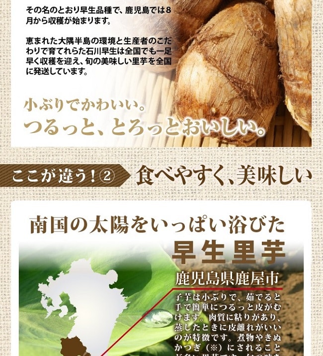 1kg】鹿児島大隅半島産 里芋「石川早生」を税込・送料込でお試し｜サンプル百貨店 | 九州よかど市