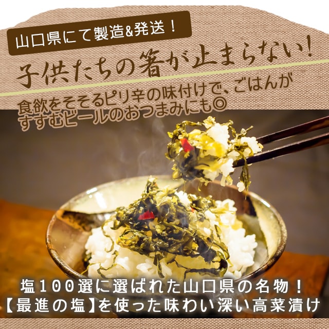 本場の味 博多明太子高菜×20袋 ご飯に,,ラーメンに相性バッチリ 送料無料 食品 b1 ご飯のお供 つけもの 明太子×高菜 漬物 お取り寄せ