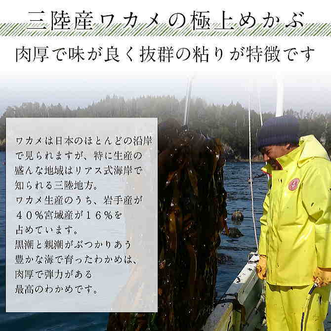 60g】三陸産・極上「素干し乾燥めかぶ」（ノーカット）を税込・送料込でお試し ｜ サンプル百貨店 | 合資会社ジーエスセレクトフーズ