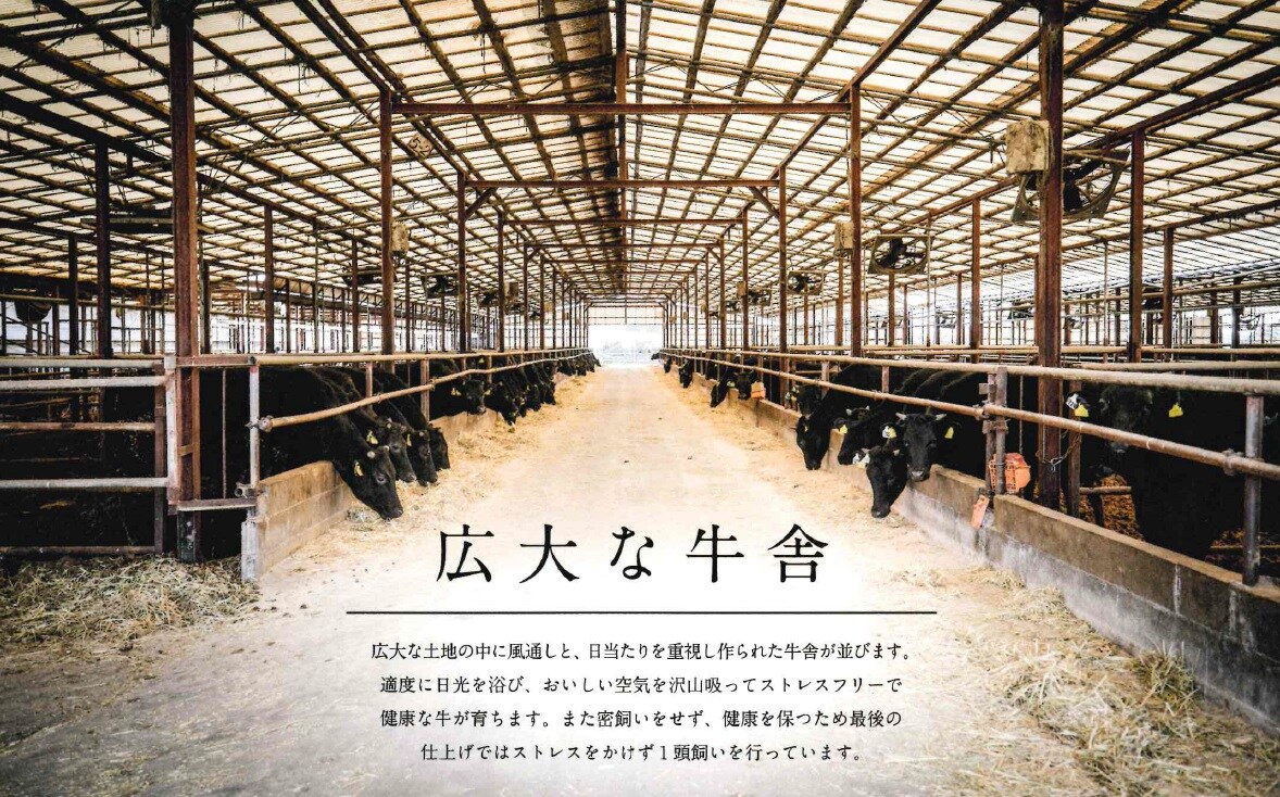 700g 牧場直送 国産牛 和牛入り 特製たれ漬 ハラミ肉 を税込 送料込でお試し サンプル百貨店 産直マーケット