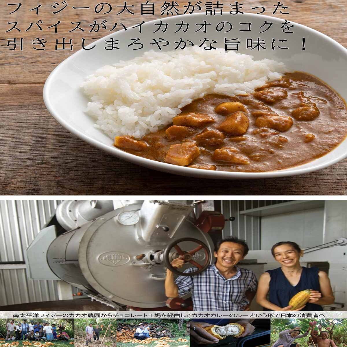 300g 100g 3袋 カカオカレーグルテンフリー 中辛 を税込 送料込でお試し サンプル百貨店 Ones