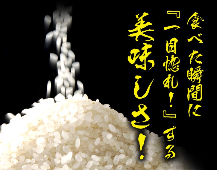 10kg (5kg×2袋)】令和3年産 福島県中通り産ひとめぼれを税込・送料込でお試し ｜ サンプル百貨店 | 有限会社森米穀店