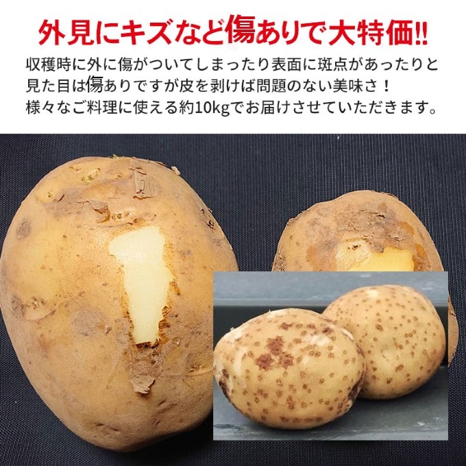 594円 「かわいい～！」 ”じゃがいも” 訳あり 約5kg 大きさおまかせ 産地厳選 送料無料