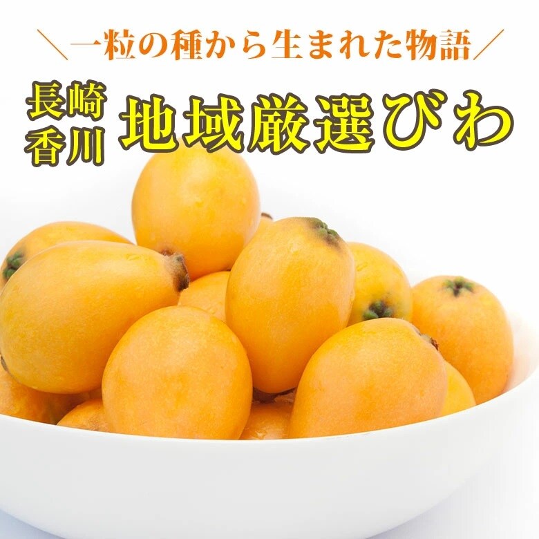 500g L 2l 長崎 香川 厳選びわ 化粧箱入り を税込 送料込でお試し サンプル百貨店 くだもの観覧車