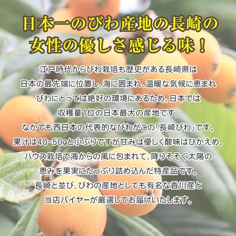 500g L 2l 長崎 香川 厳選びわ 化粧箱入り を税込 送料込でお試し サンプル百貨店 くだもの観覧車