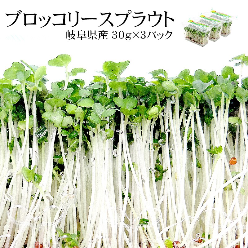 冷蔵便】【30g×3pc】岐阜県産 ブロッコリースプラウトを税込・送料込でお試し ｜ サンプル百貨店 | 株式会社サラダファイブ