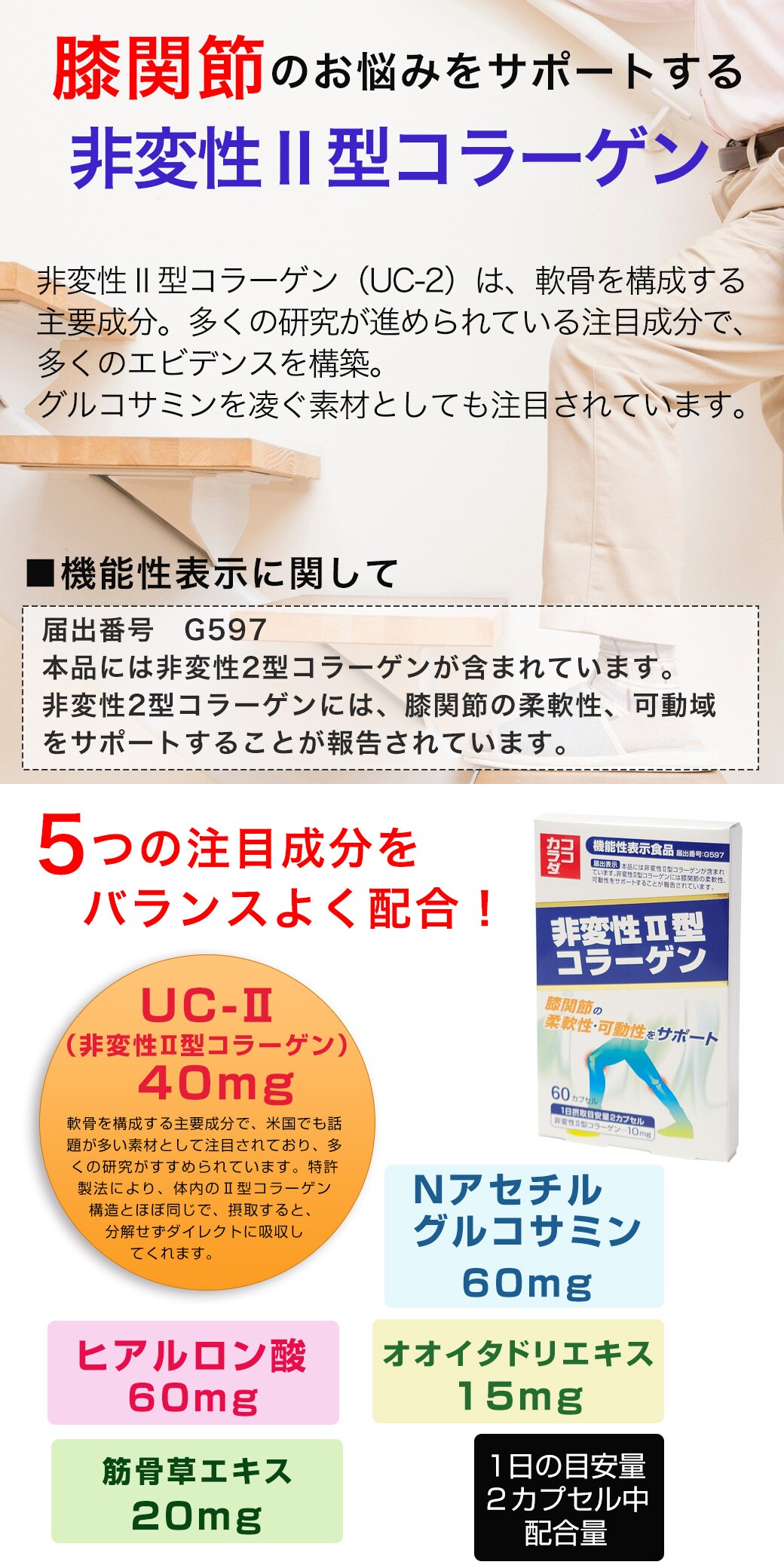 市場 低分子ヒアルロン酸 120カプセル×12個セット 低分子コラーゲン