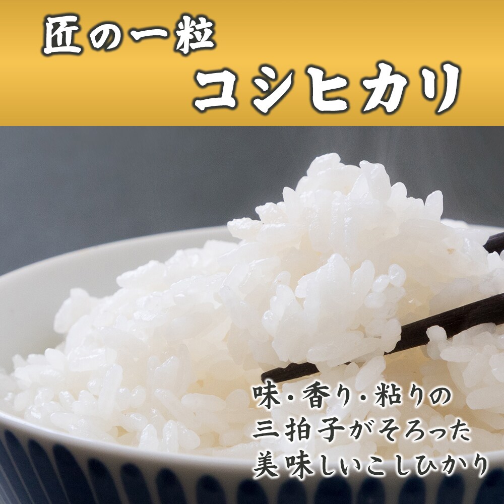 10kg 】匠の一粒 コシヒカリ(精白米) 国産 令和4年産（10kg×1袋）を