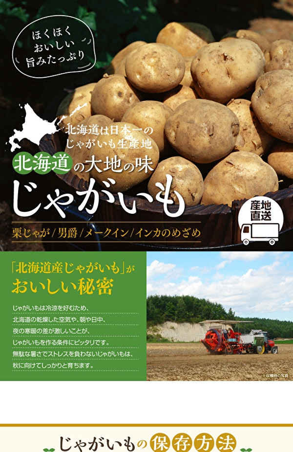 dショッピング |【予約受付】10月以降から順次出荷 北海道産 インカのめざめ 5kg | カテゴリ：野菜の販売できる商品 | 全国うまいもの博  (129800000686117)|ドコモの通販サイト