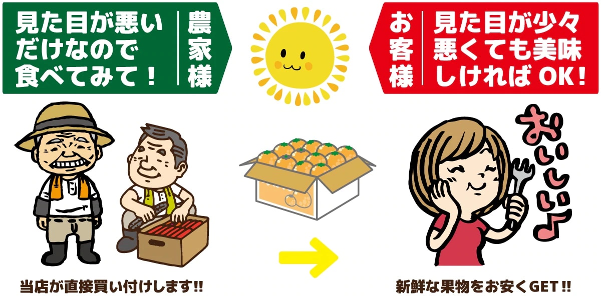 日本人気超絶の 酸っぱうま〜い 即日出荷 愛媛産 極早生みかん 10kg 訳あり不揃い 愛媛県産 フルーツ ご家庭用 果物 くだもの 温州みかん 蜜柑  柑橘類 かんきつ お試し 食品ロス コロナ おうち時間応援 産地直送 kohal.sakura.ne.jp