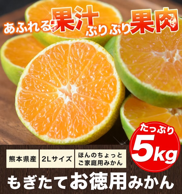 5kg(2Lサイズ)】熊本県産 もぎたてお徳用みかんを税込・送料込でお試し ｜ サンプル百貨店 | くまもと風土