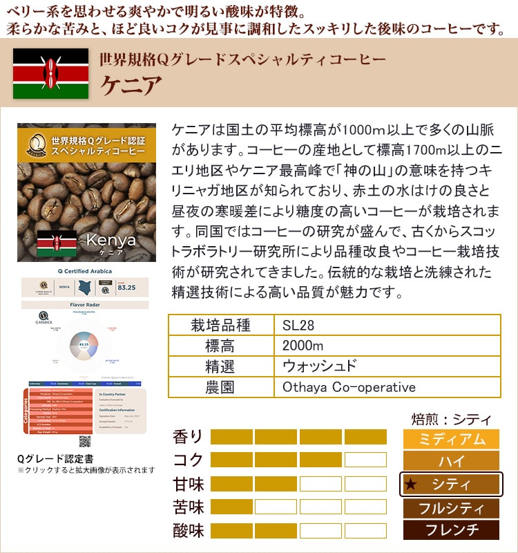 計3kg(500g×3種×2袋)】［加藤珈琲店］Qグレード3種たっぷり3kg＜挽き具合：中挽き＞を税込・送料込でお試し ｜ サンプル百貨店 | グルメ コーヒー豆専門！ 加藤珈琲店