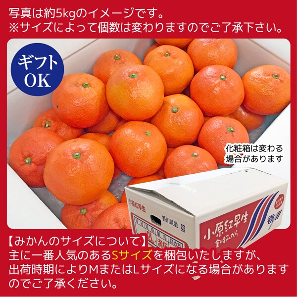 ogi様専用小原紅5キロ3箱秀S - www.luxoseluxos.com.br