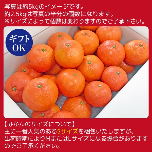 約2.5kg(S-L)】香川県産 小原紅早生みかんを税込・送料込でお試し